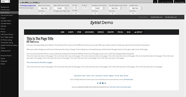 Sytist theme editor