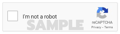 recaptcha.jpg